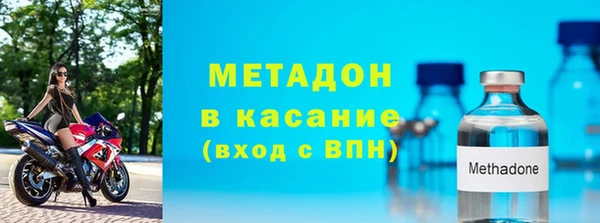шишки Аркадак