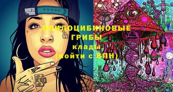 шишки Аркадак