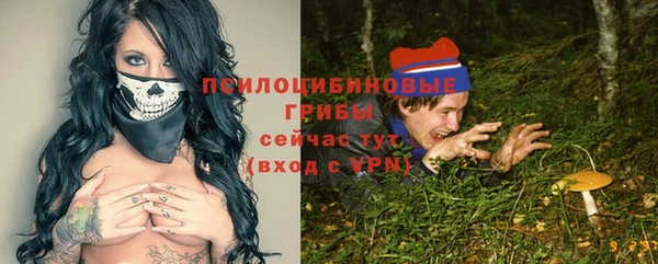 трава Баксан