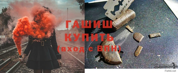 шишки Аркадак