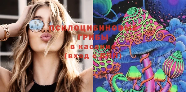 шишки Аркадак